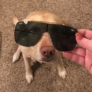 Gold Ray-Ban Wings ii